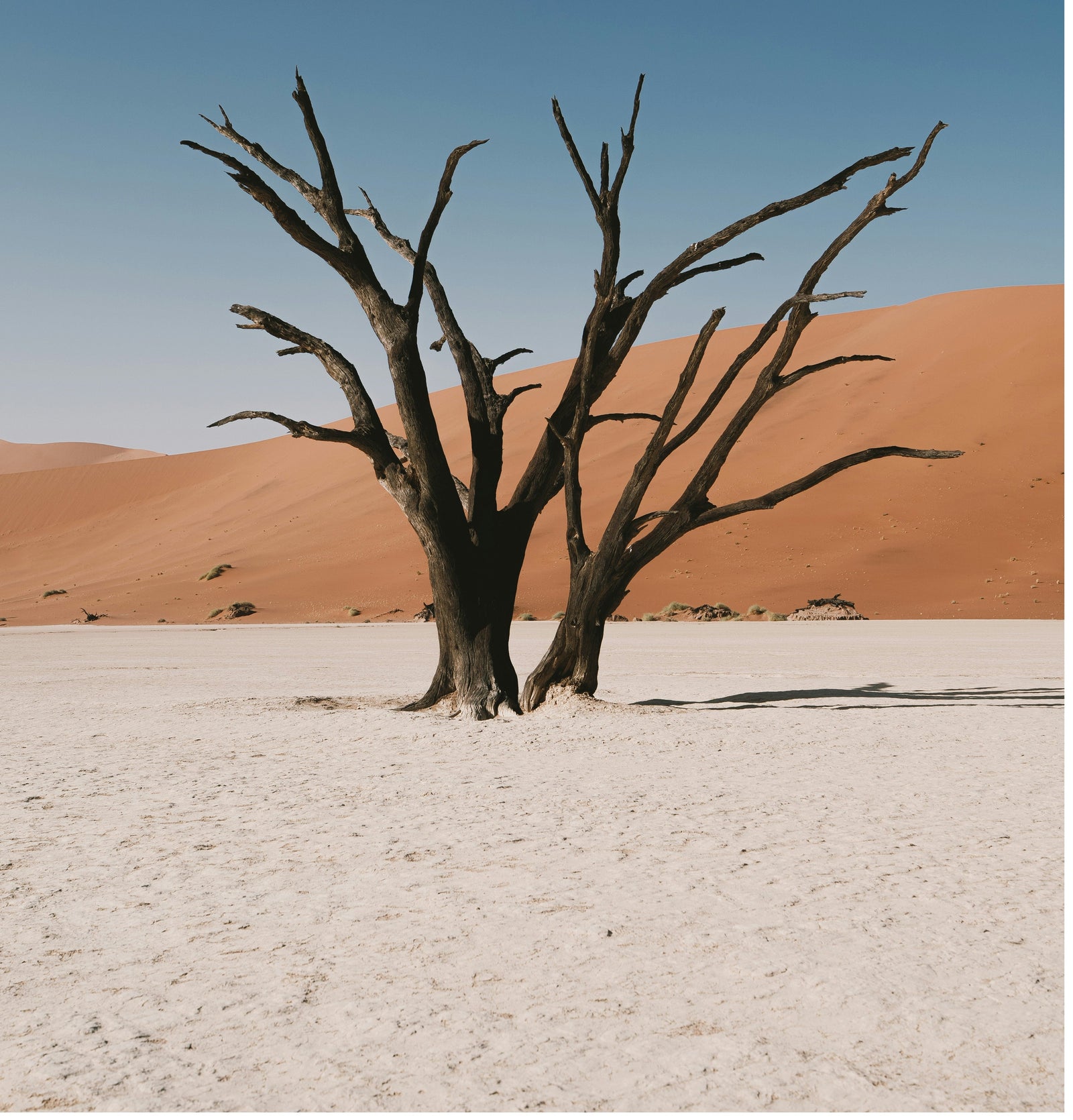 Well, Boomer, You Did It Now. I Deleted Some Subscribers By Mistake. Sorry.