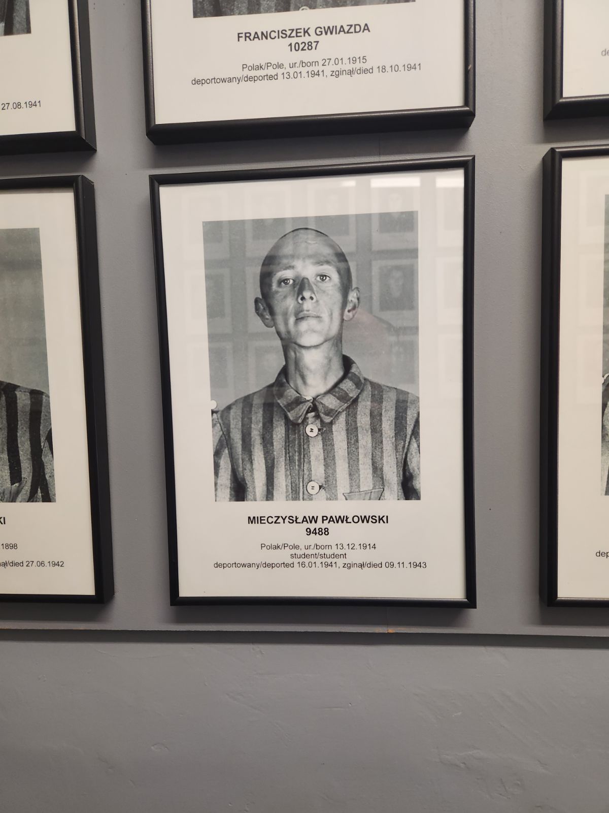 What I Did While I Was Away